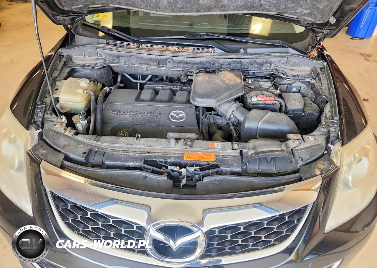 2012 Mazda Cx-9 VIN:JM3TB3DV4C0361421 - 12