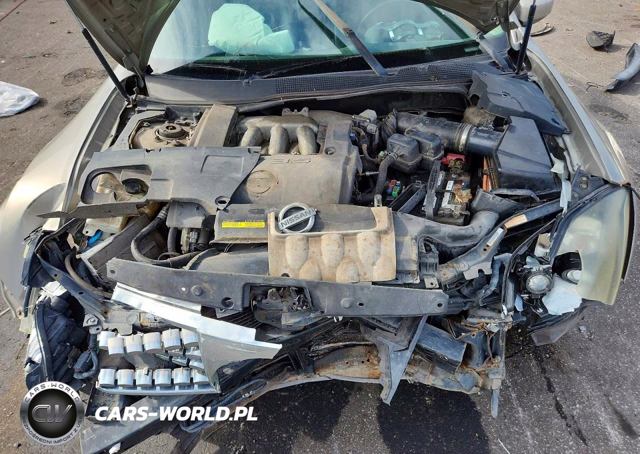 2005 Nissan Maxima 3.5 Se VIN:1N4BA41E05C818735 - 11