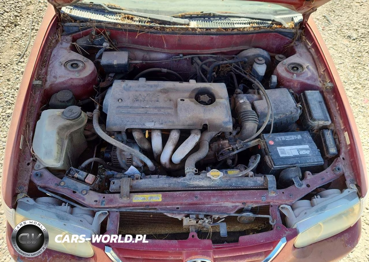 2001 Toyota Corolla VIN:2T1BR12E11C435131 - 11