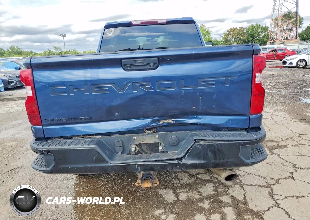 2020 Chevrolet Silverado K2500 Heavy Duty VIN:1GC4YLE71LF134440 - 6