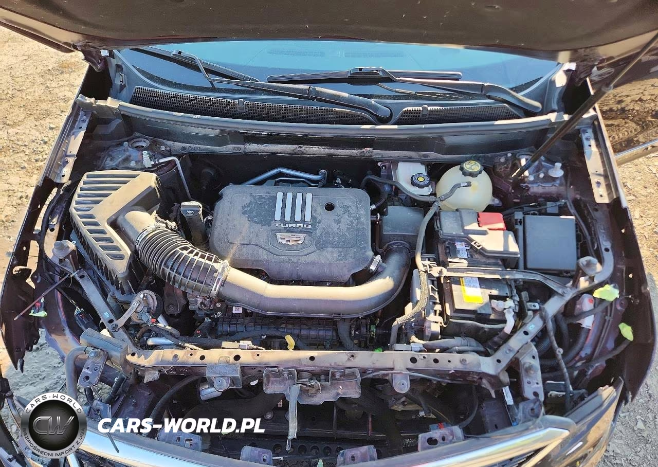 2021 Cadillac Xt5 Luxury VIN:1GYKNAR45MZ117803 - 12