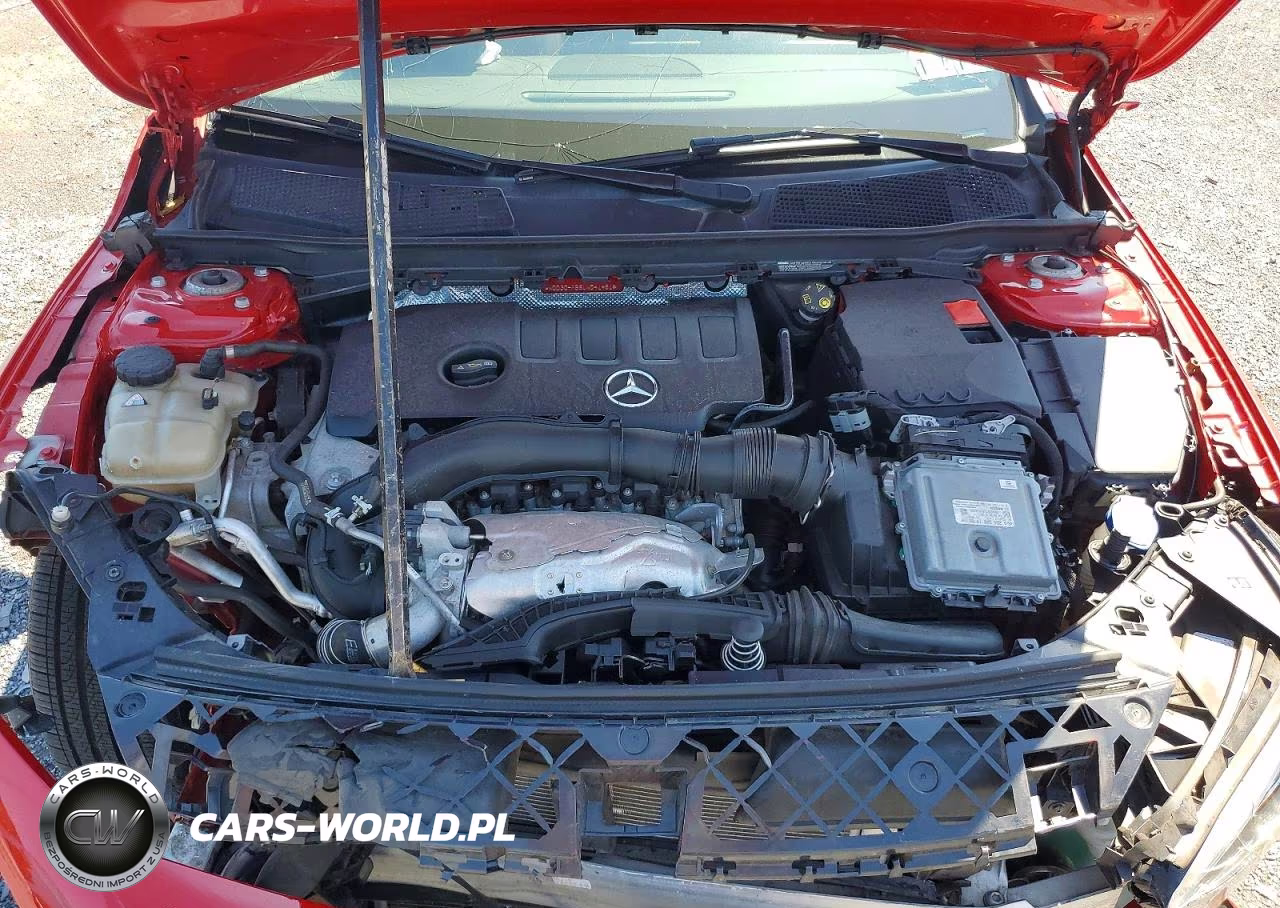2020 Mercedes-Benz A 220 4Matic VIN:WDD3G4FB8LW041461 - 11