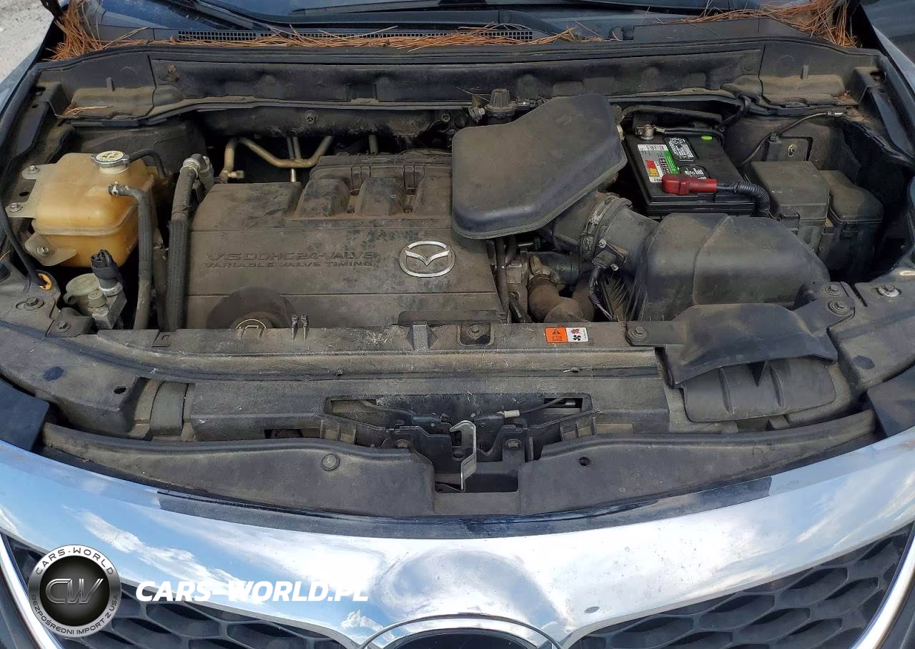 2010 Mazda Cx-9 VIN:JM3TB2MA8A0202745 - 12