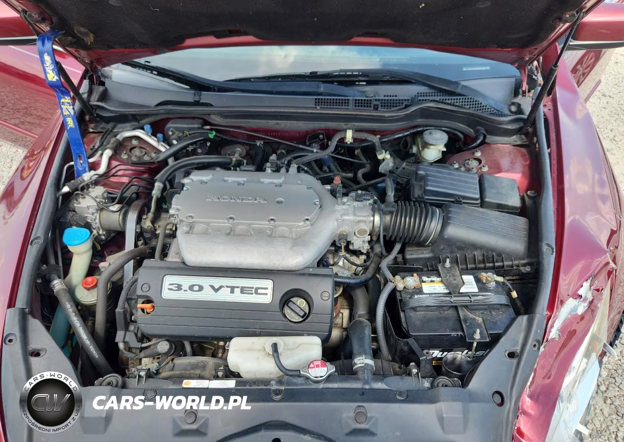 2006 Honda Accord Ex VIN:1HGCM66566A031006 - 11
