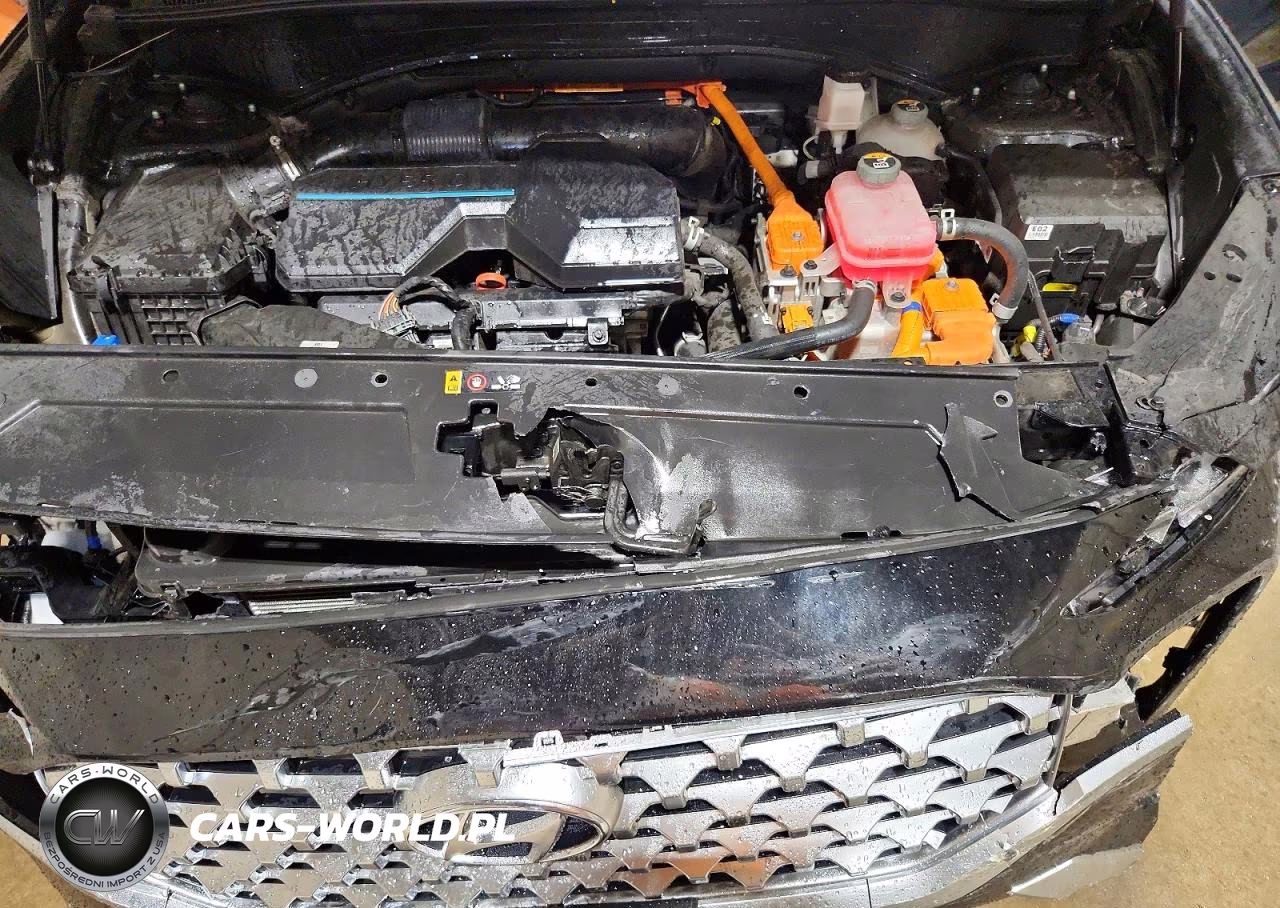 2021 Hyundai Santa Fe Sel Premium VIN:KM8S3DA15MU012038 - 12