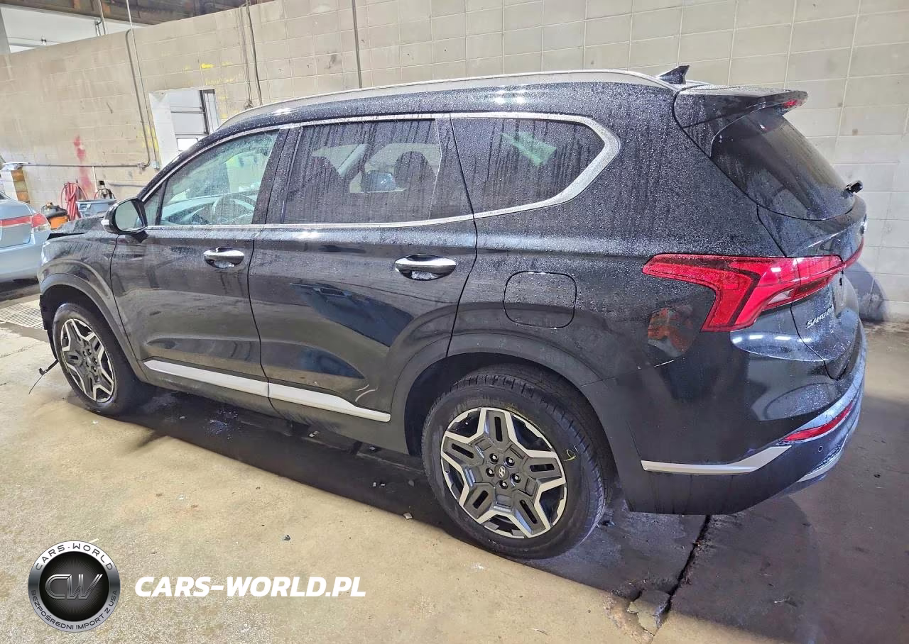 2021 Hyundai Santa Fe Sel Premium VIN:KM8S3DA15MU012038 - 2