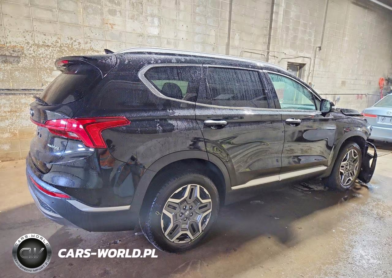 2021 Hyundai Santa Fe Sel Premium VIN:KM8S3DA15MU012038 - 3