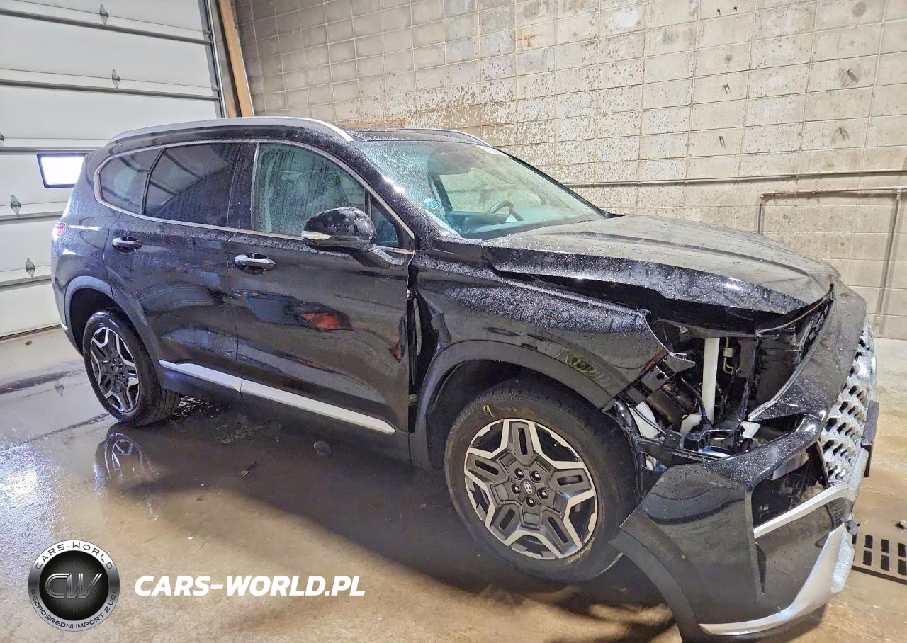2021 Hyundai Santa Fe Sel Premium VIN:KM8S3DA15MU012038 - 4