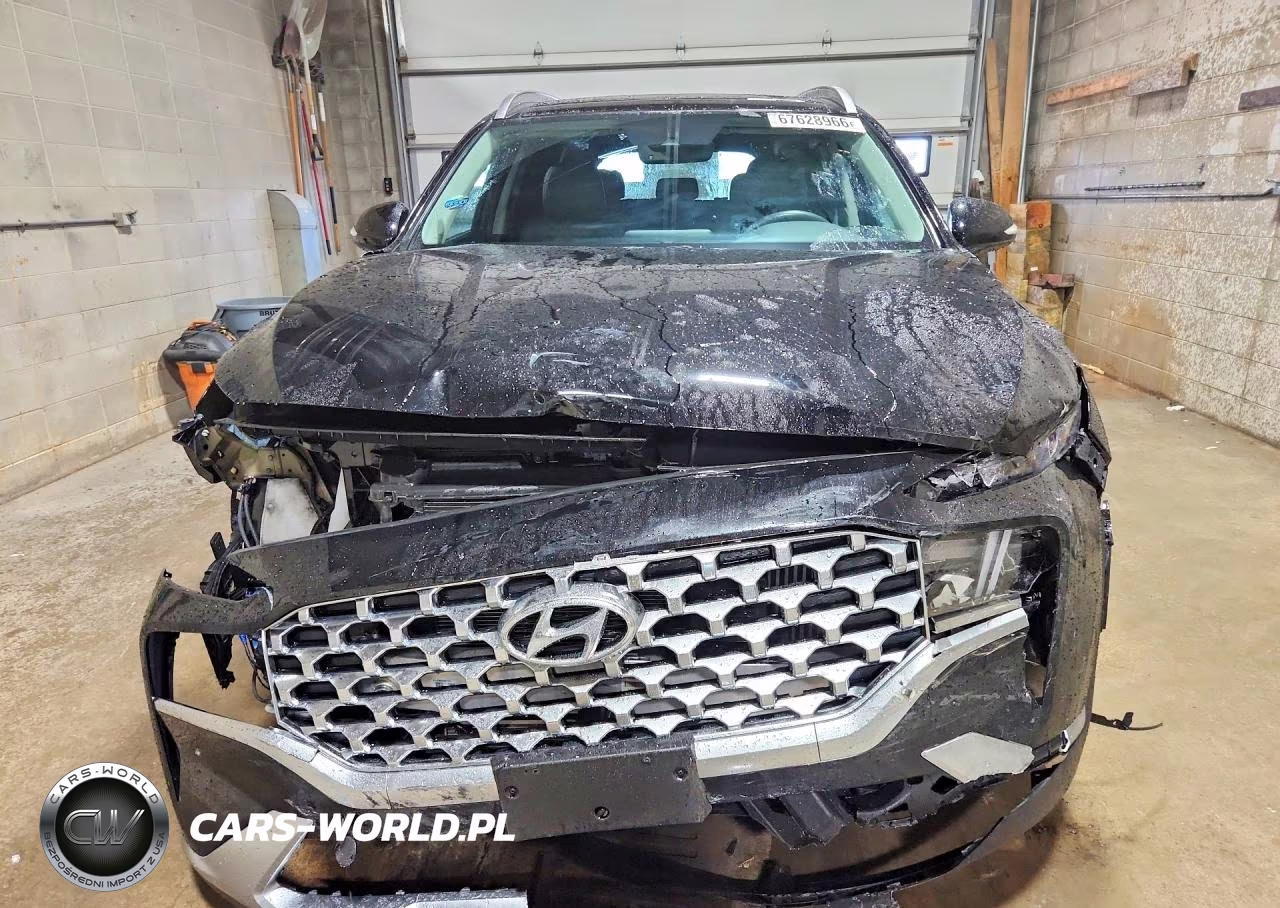 2021 Hyundai Santa Fe Sel Premium VIN:KM8S3DA15MU012038 - 5