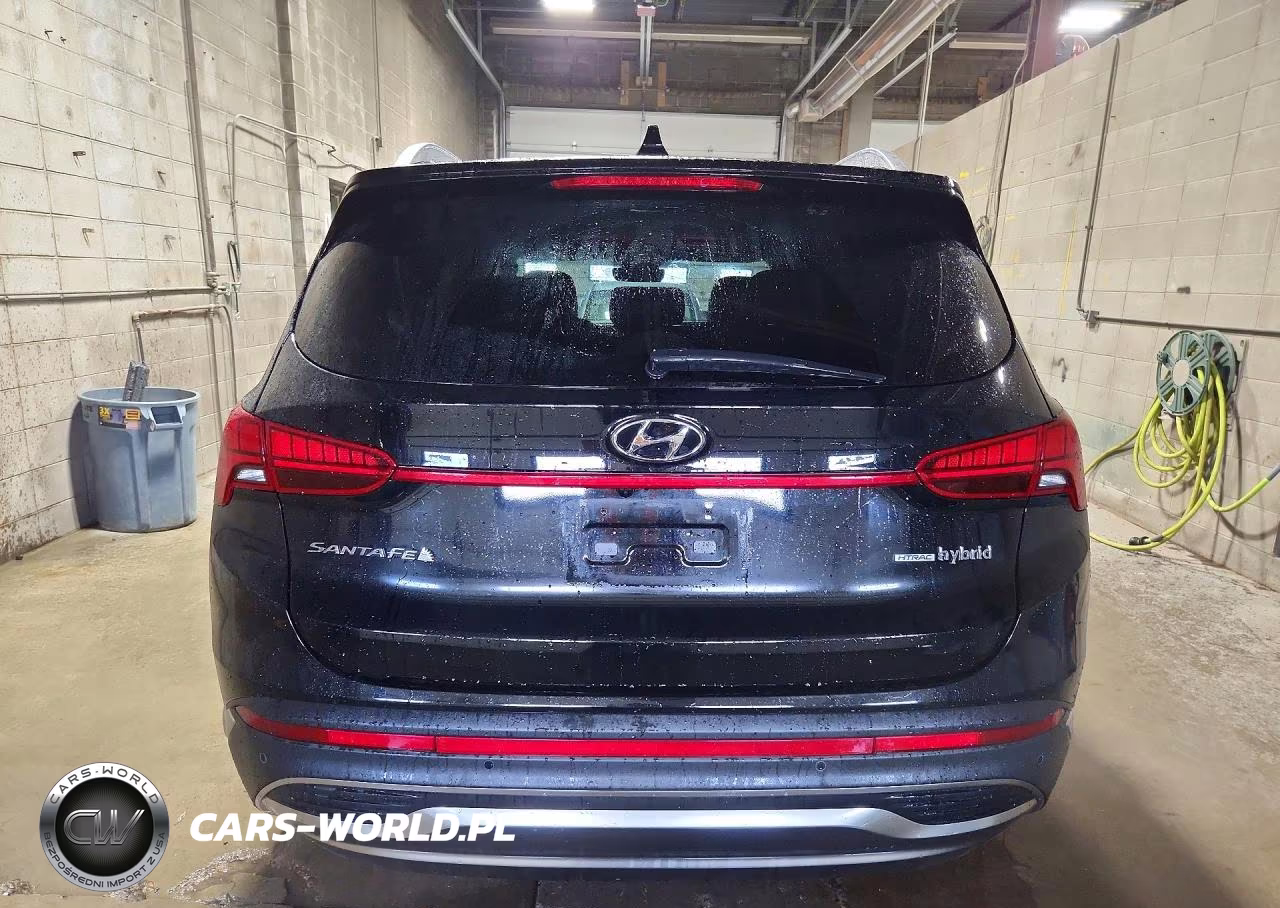 2021 Hyundai Santa Fe Sel Premium VIN:KM8S3DA15MU012038 - 6