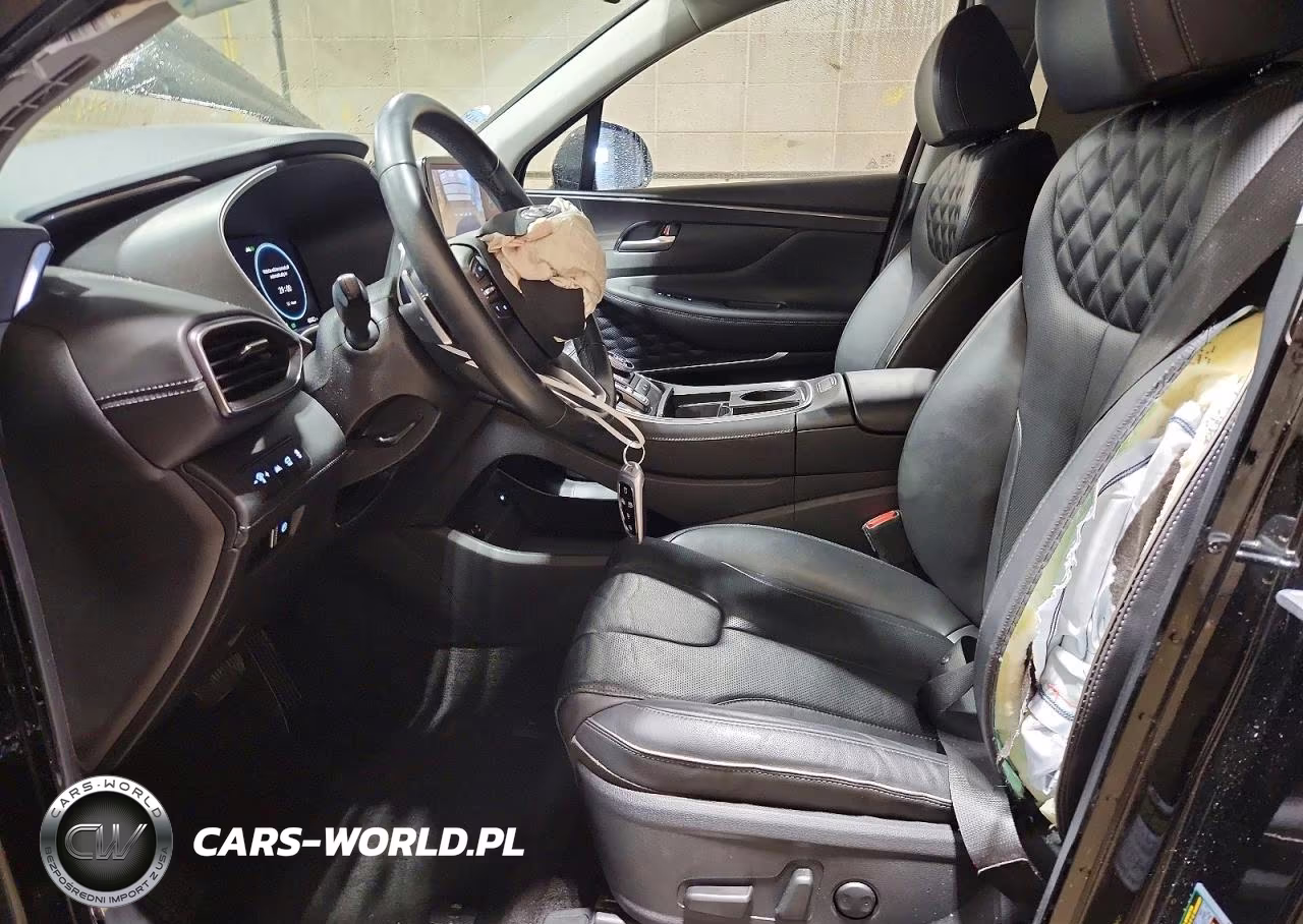 2021 Hyundai Santa Fe Sel Premium VIN:KM8S3DA15MU012038 - 7