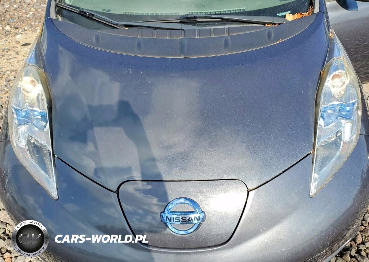 2013 Nissan Leaf S VIN:1N4AZ0CP2DC421621 - 11