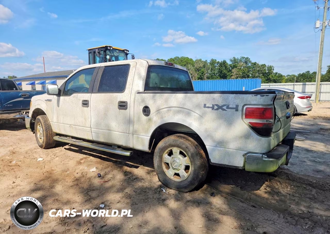 2010 Ford F150 Supercrew VIN:1FTFW1EVXAKE62302 - 2