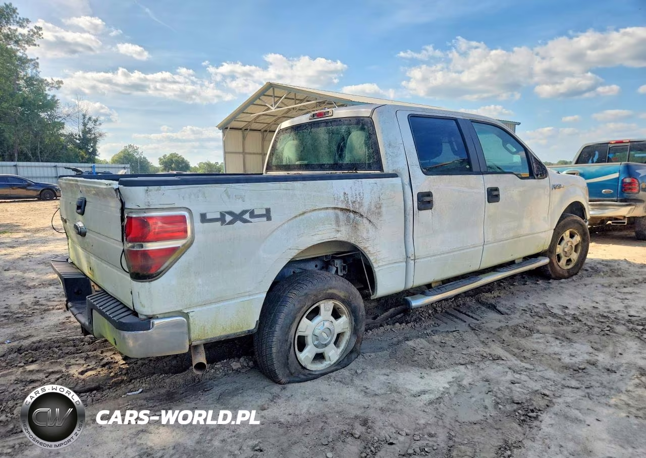 2010 Ford F150 Supercrew VIN:1FTFW1EVXAKE62302 - 3