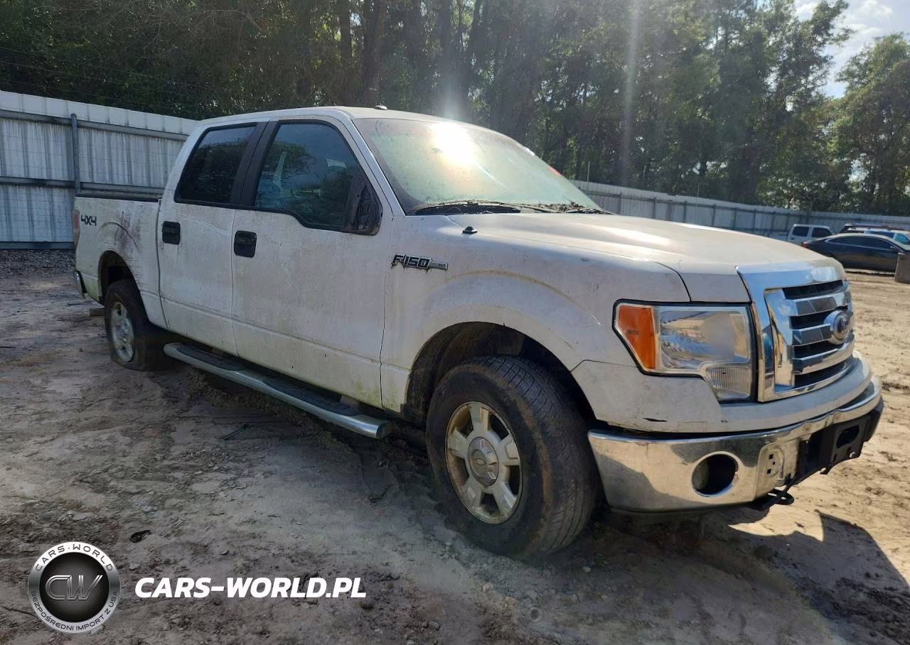 2010 Ford F150 Supercrew VIN:1FTFW1EVXAKE62302 - 4