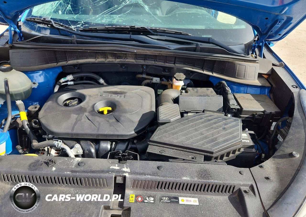 2020 Hyundai Tucson Value VIN:KM8J33A4XLU244035 - 12