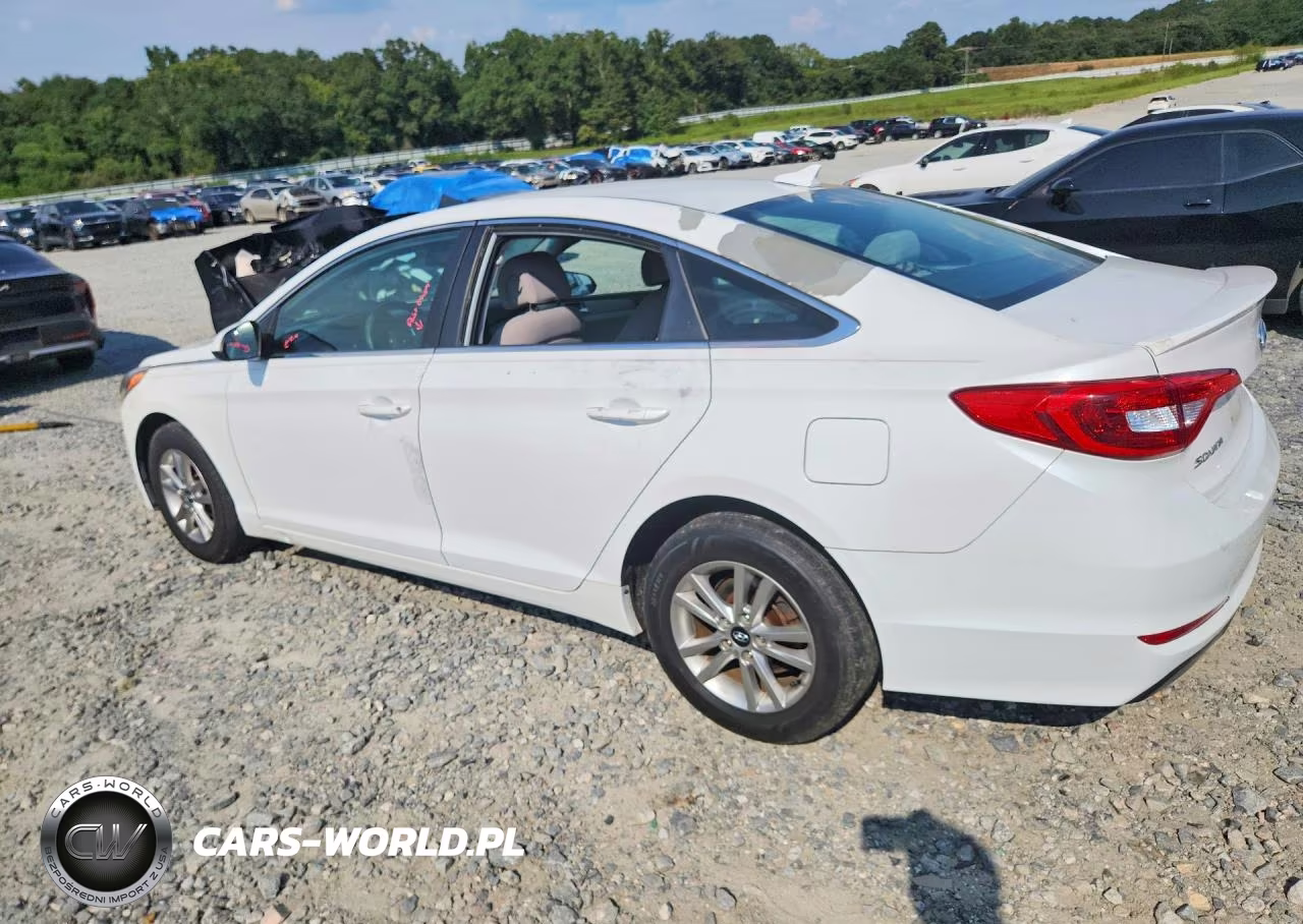 2017 Hyundai Sonata Se VIN:5NPE24AF9HH539743 - 2