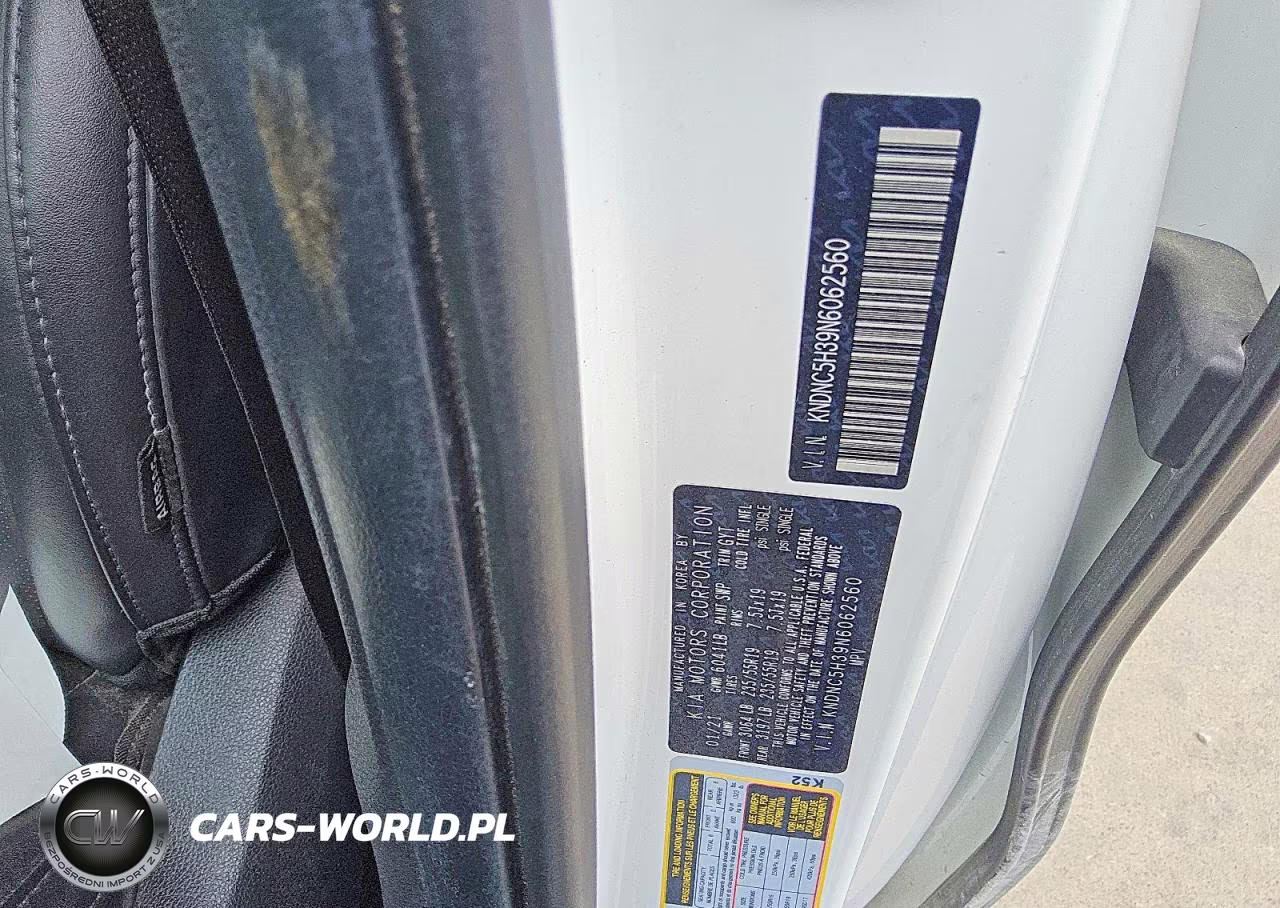 2022 Kia Carnival Ex VIN:KNDNC5H39N6062560 - 13