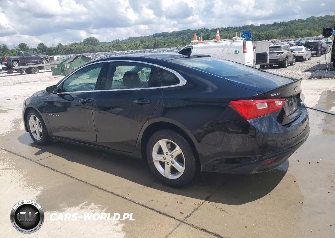 2023 Chevrolet Malibu Lt VIN:1G1ZD5ST8PF208482 - 2