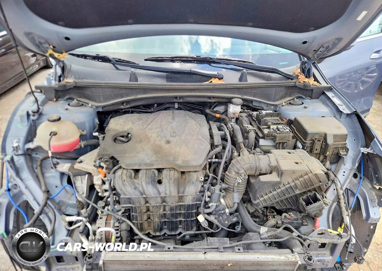 2023 Kia Sportage Ex VIN:5XYK33AF5PG113144 - 11