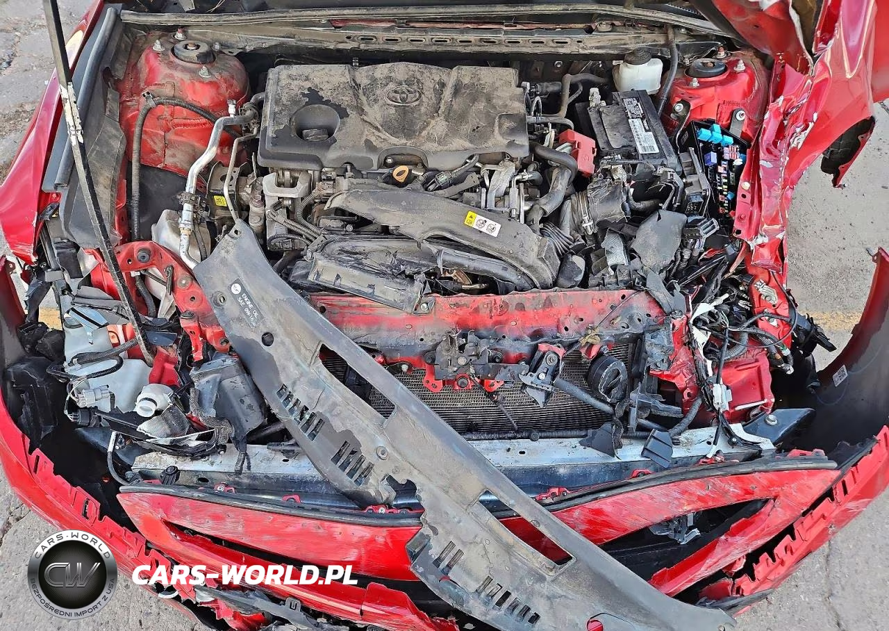 2019 Toyota Camry Se VIN:4T1B11HK1KU176886 - 11