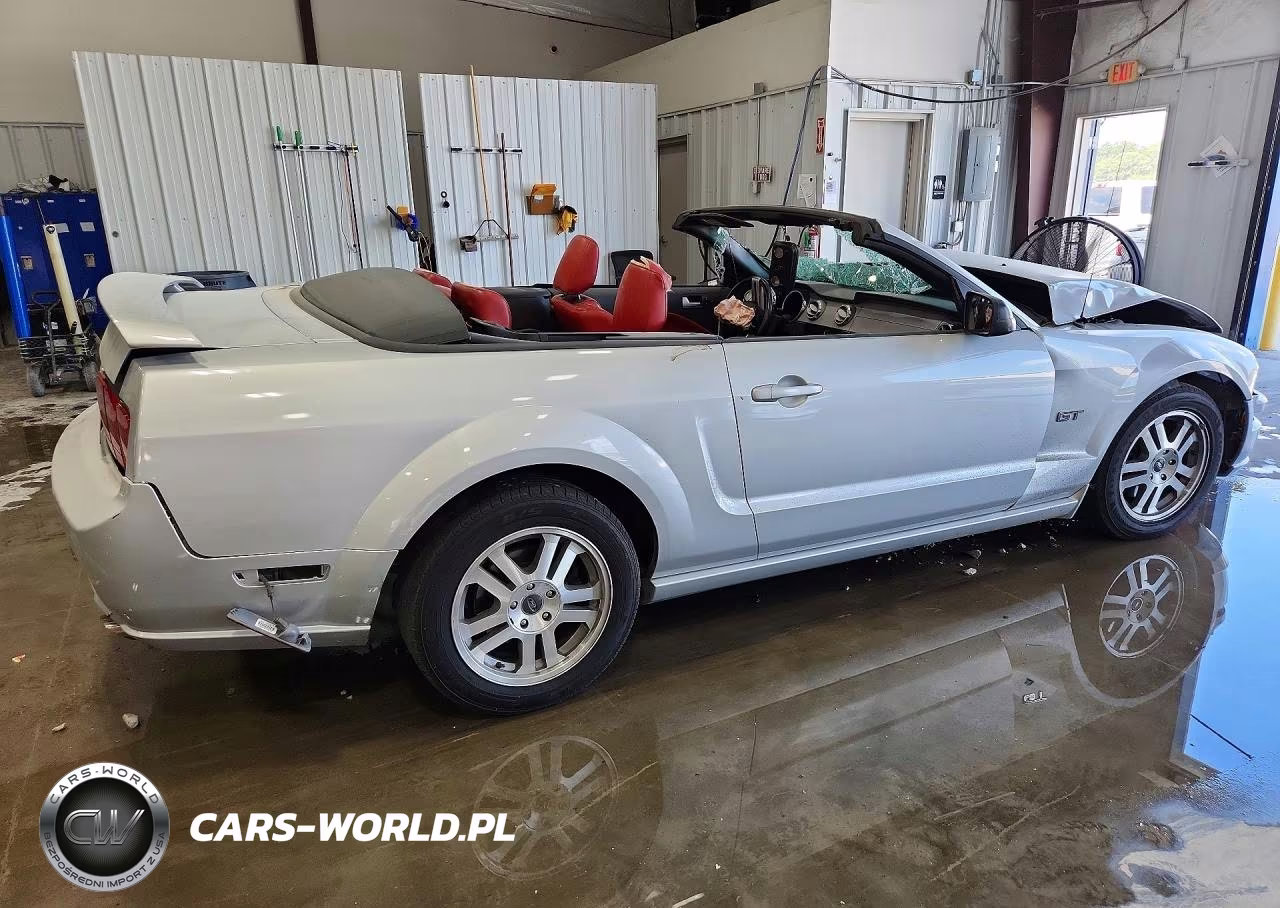 2005 Ford Mustang Gt VIN:1ZVHT85H255182637 - 3