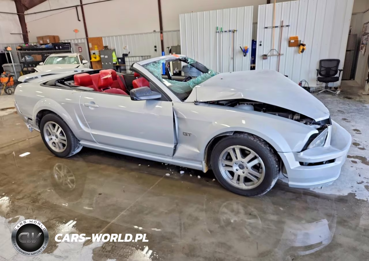 2005 Ford Mustang Gt VIN:1ZVHT85H255182637 - 4