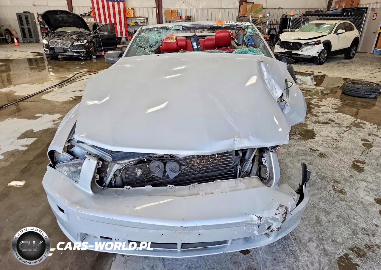 2005 Ford Mustang Gt VIN:1ZVHT85H255182637 - 5