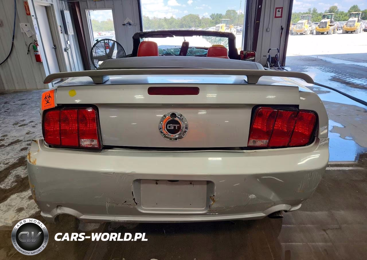 2005 Ford Mustang Gt VIN:1ZVHT85H255182637 - 6