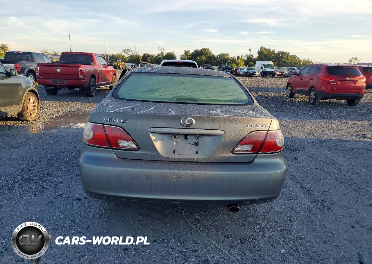 2002 Lexus Es 300 VIN:JTHBF30G425020553 - 6