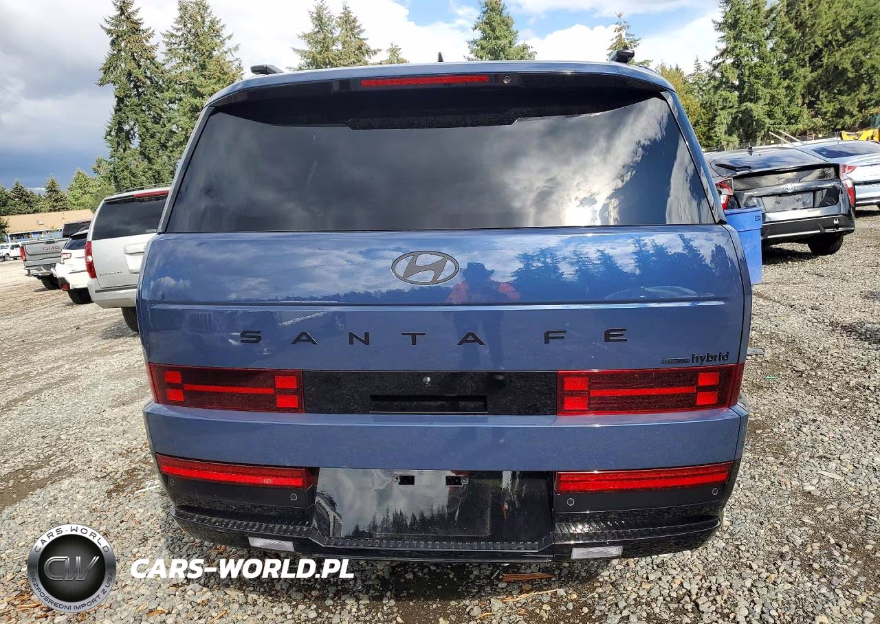 2026 Hyundai Santa Fe Calligraphy VIN:5NMP5DG13TH125245 - 6