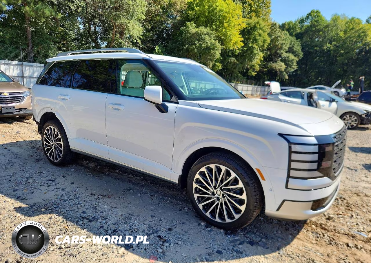 2026 Hyundai Palisade Calligraphy VIN:KM8RM5SAXTU045003 - 4