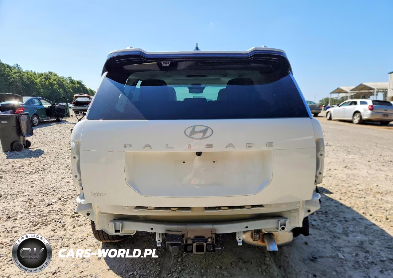 2026 Hyundai Palisade Calligraphy VIN:KM8RM5SAXTU045003 - 6