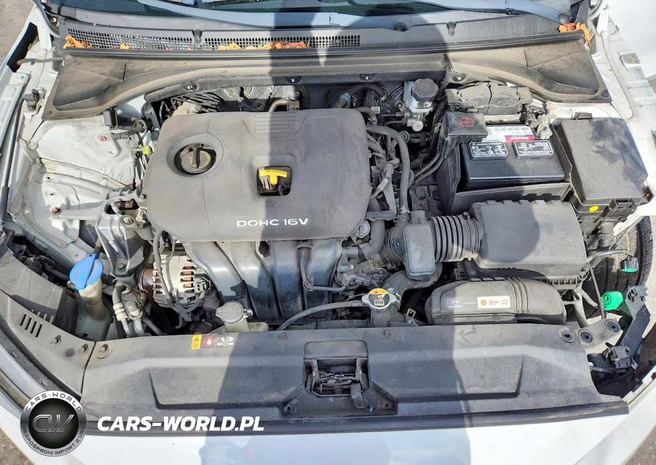 2019 Hyundai Veloster 2.0L VIN:KMHTG6AF8KU017263 - 11