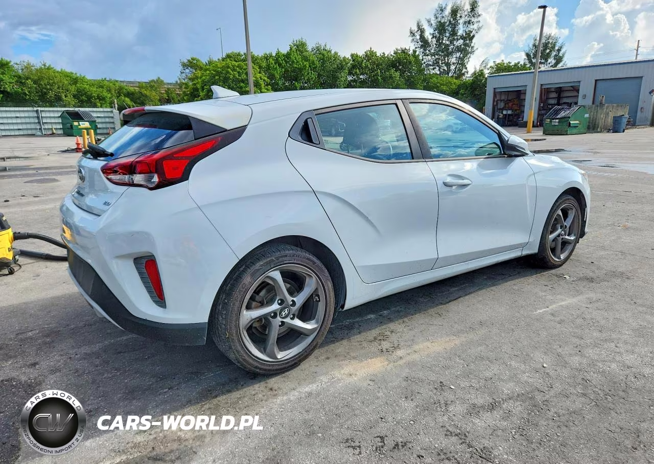 2019 Hyundai Veloster 2.0L VIN:KMHTG6AF8KU017263 - 3