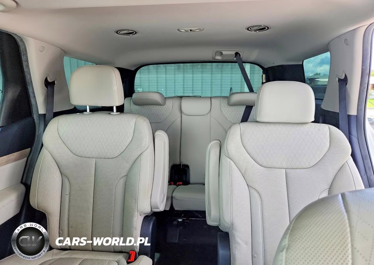 2020 Hyundai Palisade Sel VIN:KM8R44HE4LU114076 - 10