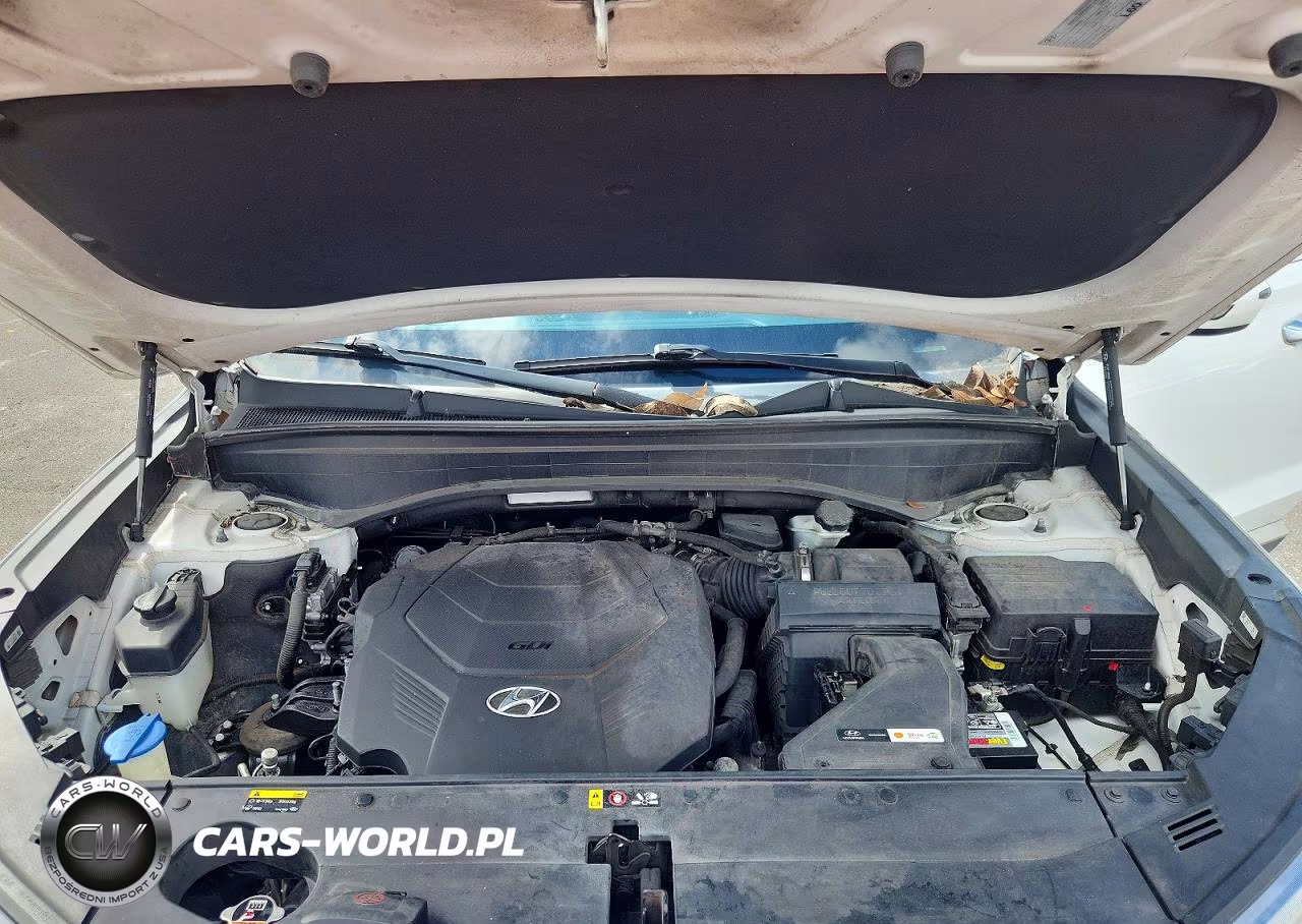 2020 Hyundai Palisade Sel VIN:KM8R44HE4LU114076 - 12