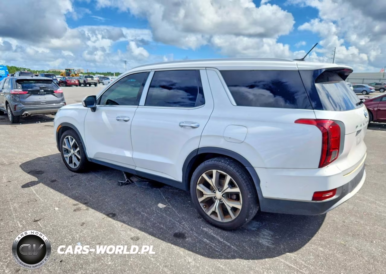 2020 Hyundai Palisade Sel VIN:KM8R44HE4LU114076 - 2