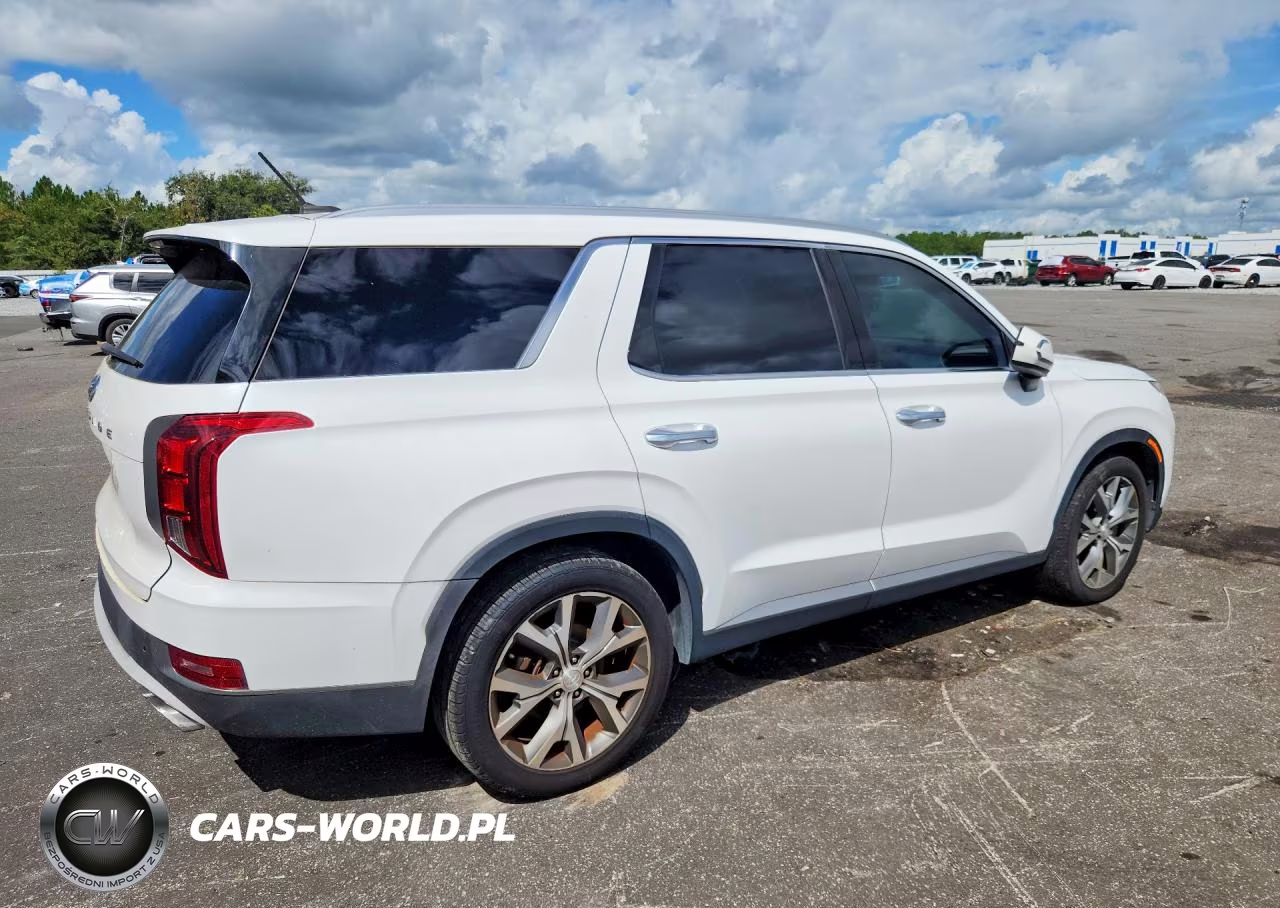 2020 Hyundai Palisade Sel VIN:KM8R44HE4LU114076 - 3