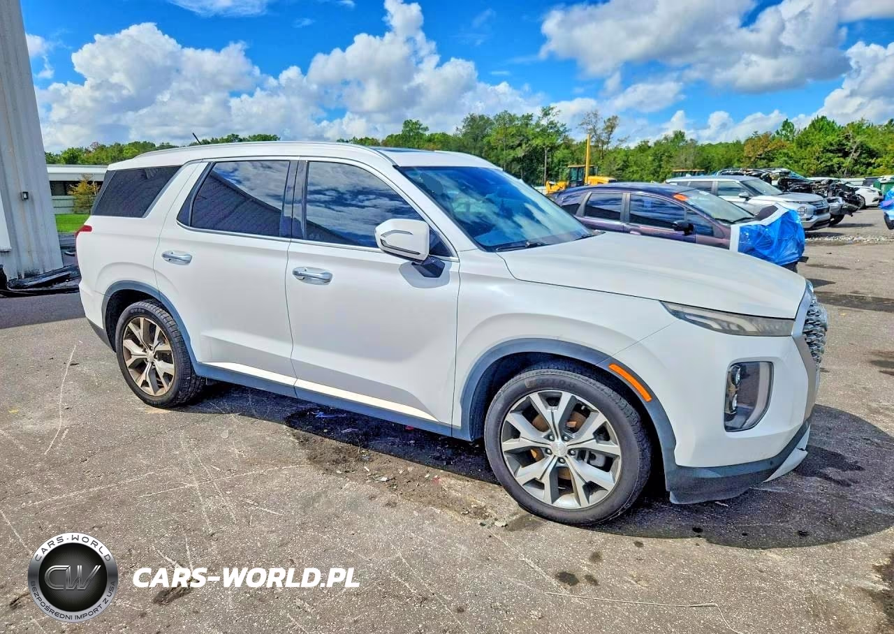 2020 Hyundai Palisade Sel VIN:KM8R44HE4LU114076 - 4