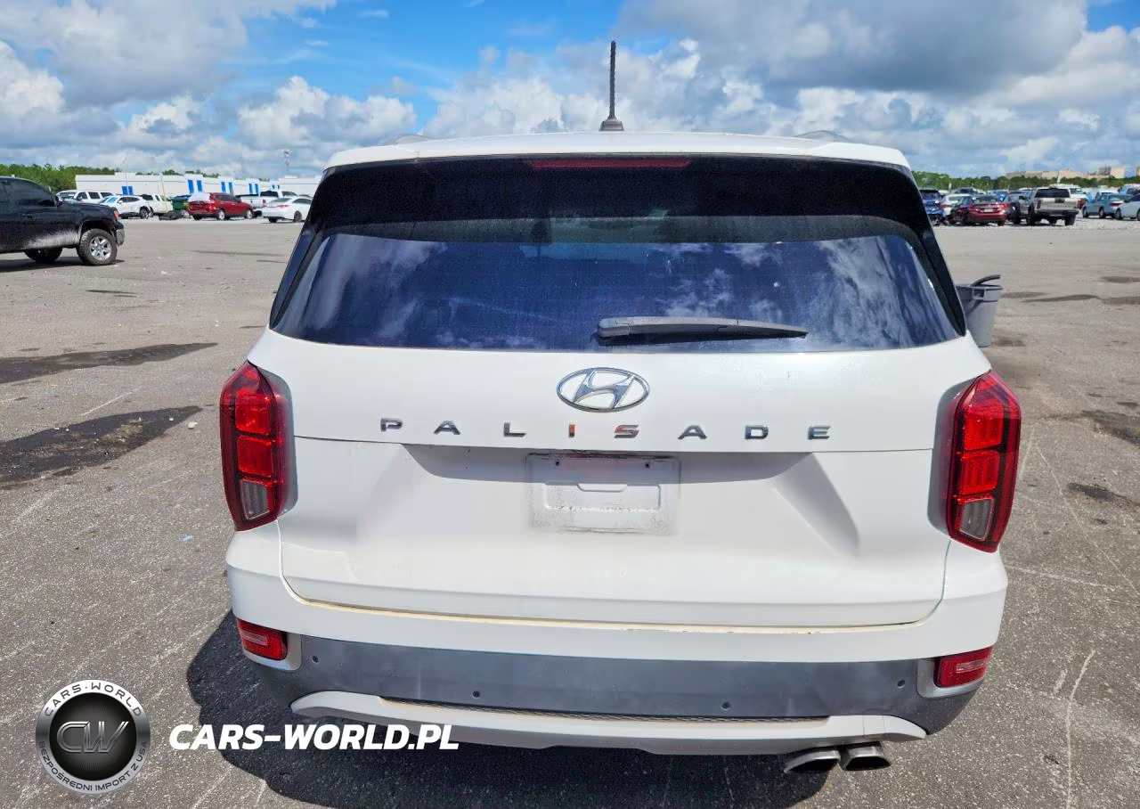 2020 Hyundai Palisade Sel VIN:KM8R44HE4LU114076 - 6