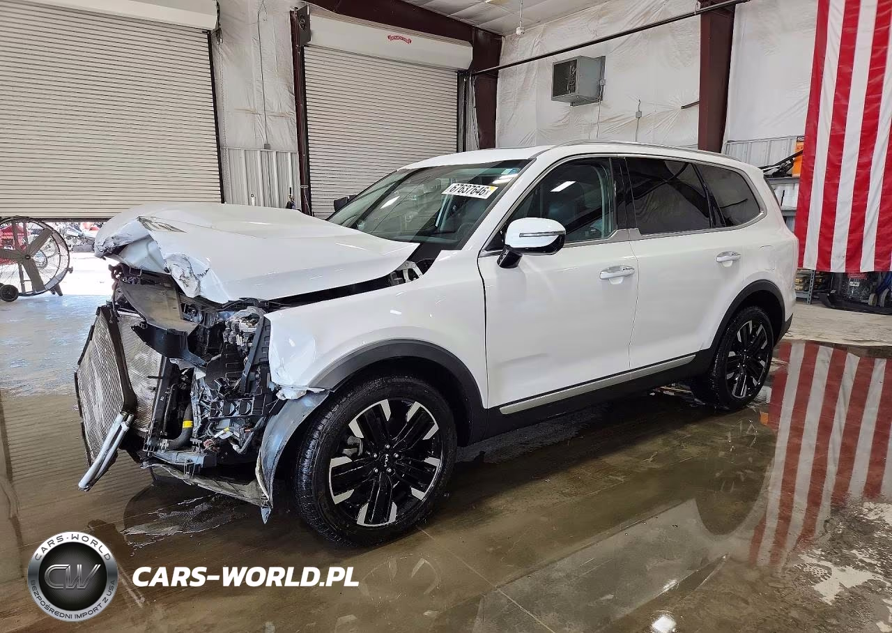 2023 Kia Telluride Sx VIN:5XYP5DGC6PG372177 - 1