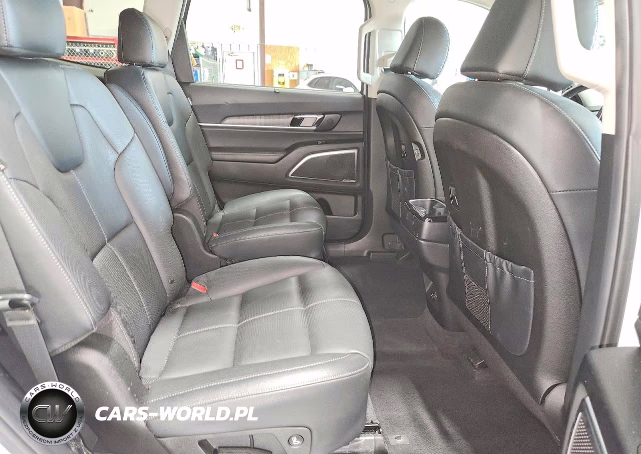 2023 Kia Telluride Sx VIN:5XYP5DGC6PG372177 - 11