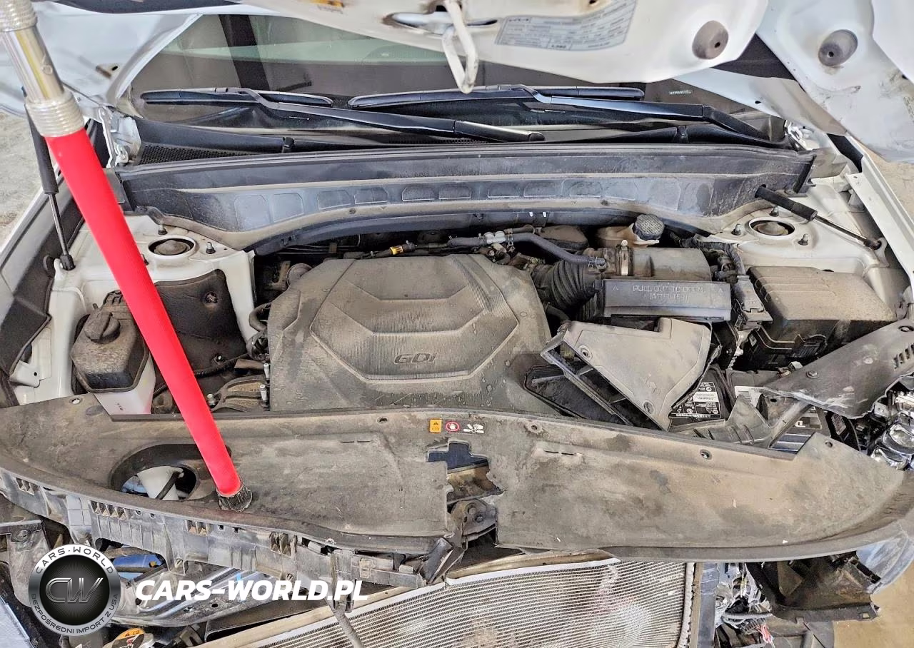 2023 Kia Telluride Sx VIN:5XYP5DGC6PG372177 - 12