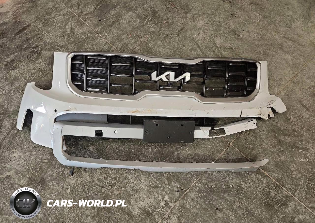 2023 Kia Telluride Sx VIN:5XYP5DGC6PG372177 - 13