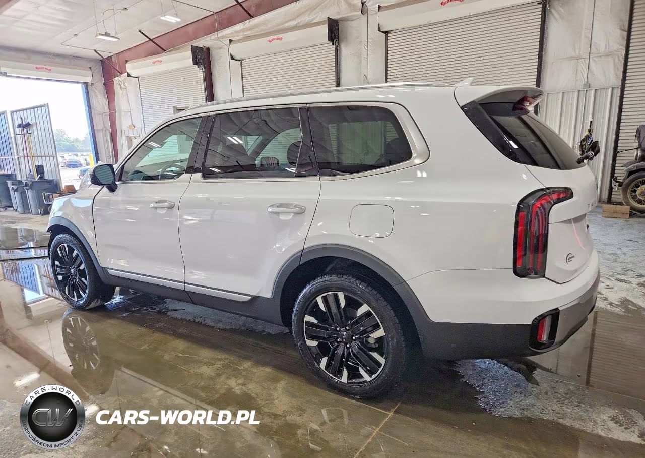 2023 Kia Telluride Sx VIN:5XYP5DGC6PG372177 - 2