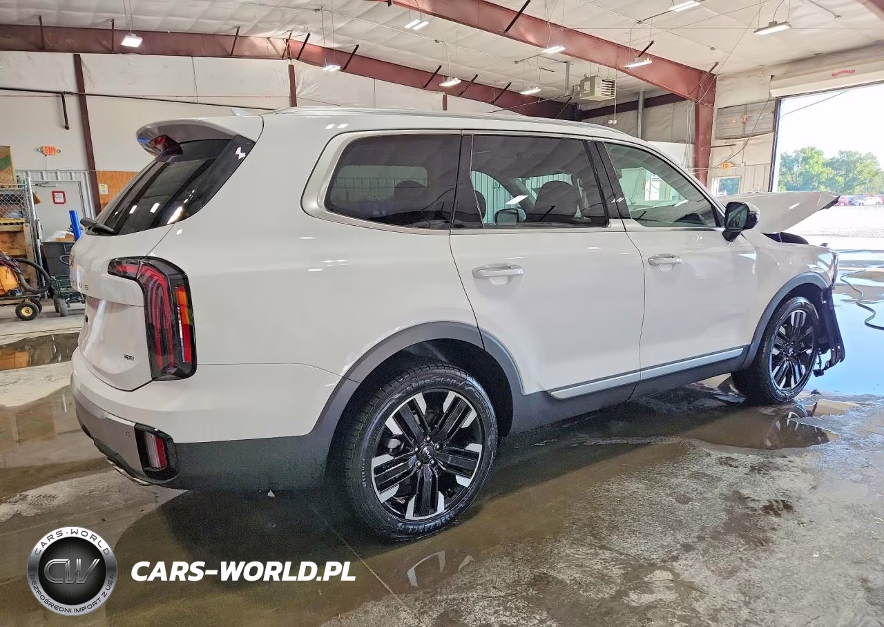 2023 Kia Telluride Sx VIN:5XYP5DGC6PG372177 - 3