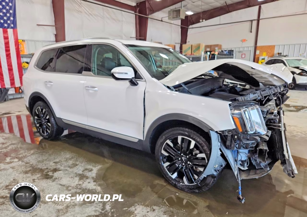 2023 Kia Telluride Sx VIN:5XYP5DGC6PG372177 - 4