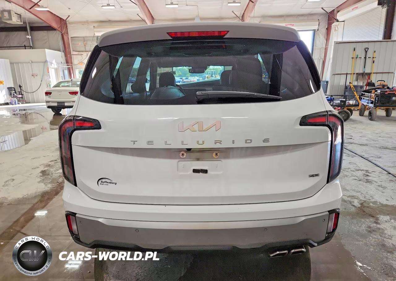 2023 Kia Telluride Sx VIN:5XYP5DGC6PG372177 - 6