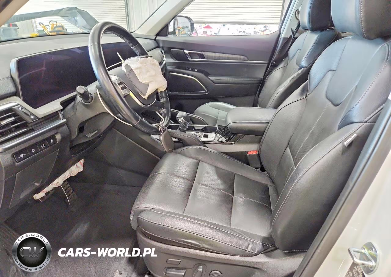 2023 Kia Telluride Sx VIN:5XYP5DGC6PG372177 - 7
